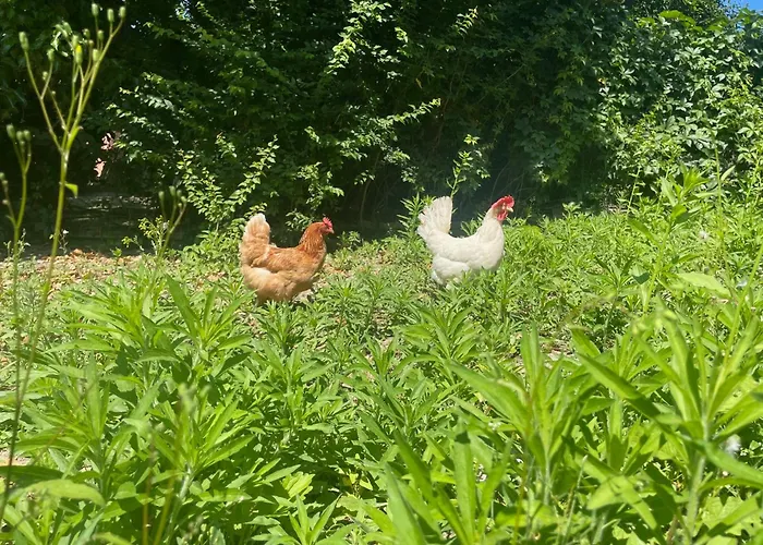 Agriturismo La Mussia
