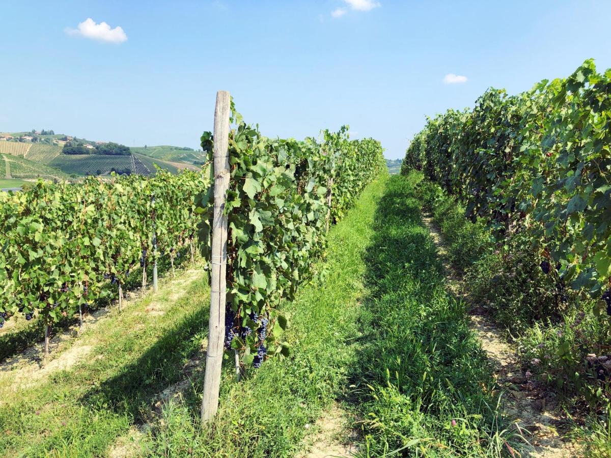 La Mussia Castelnuovo (Asti)